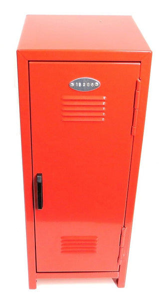 Mini Storage Locker Organizer