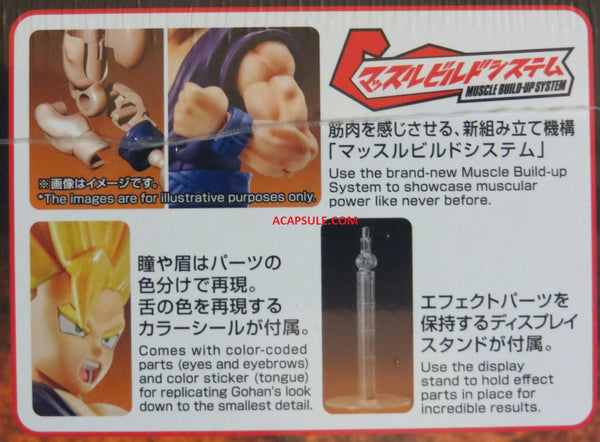 Dragon Ball Z Super Saiyan 2 Son Gohan  Figure-rise Standard Model Kit