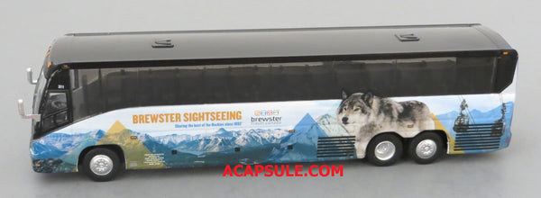 Brewster Sightseeing - 1/87 Scale MCI J4500 Motorcoach Diecast Model