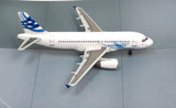 Airbus A319 Corporate Jetliner 1/400 Diecast Model DRW55682