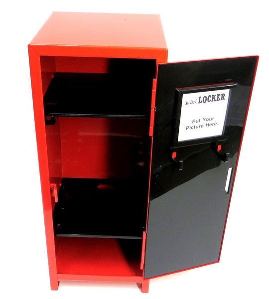 Mini Storage Locker Organizer